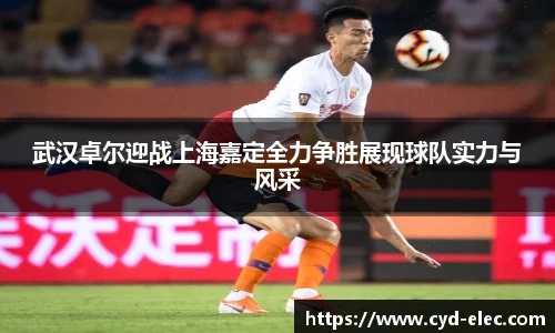 武汉卓尔迎战上海嘉定全力争胜展现球队实力与风采
